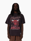 Chicago Bulls Trigon Tee