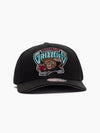 Vancouver Grizzlies Evergreen Team Pro Pinch Snapback