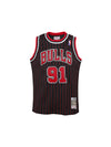 Youth Dennis Rodman Chicago Bulls Alternate Swingman Jersey