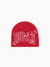 Chicago Bulls Outer Limits Skull Beanie