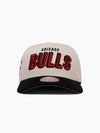 Chicago Bulls Draft Day Pro Pinch