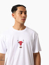 Chicago Bulls Arch Logo Tee