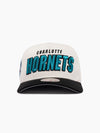 Charlotte Hornets Draft Day Pro Pinch