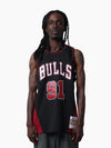 Dennis Rodman Chicago Bulls 1995-96 Warehouse Rave Panel Jersey