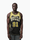 Dennis Rodman 1995-96 Chicago Bulls Hypergraf Swingman Jersey
