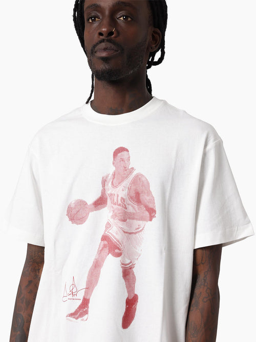 MNSPI4203_WHT4800V_2_hm8vgf_1767591934