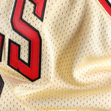 Michael Jordan 1995-96 Chicago Bulls Alternate Authentic Jersey