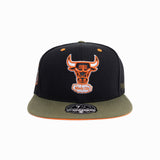 Chicago Bulls Take Flight HWC Fitted Hat