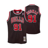 Youth Dennis Rodman Chicago Bulls Alternate Swingman Jersey