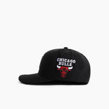 Chicago Bulls Icon Grail HWC Pro Crown Snapback
