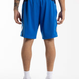 Dallas Mavericks 2010-11 Road Swingman Shorts